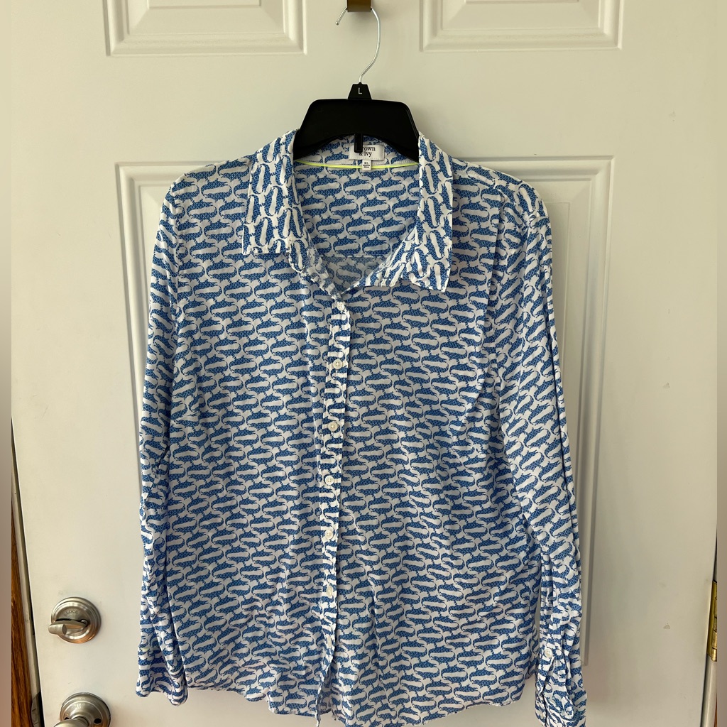 Sharp Looking Blouse